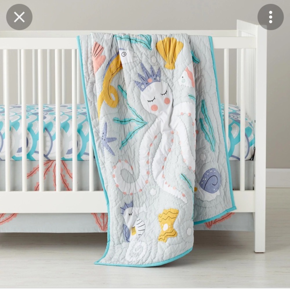Land of Nod Marine Queen Crib set